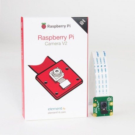 RASPBERRY PI CAM