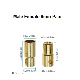 Goldstecker male/female 6mm...