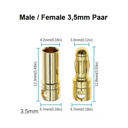 Goldstecker male/female...