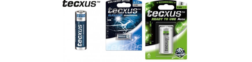 TECXUS Batterien und Akkus